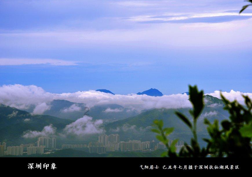 夏日网上购物