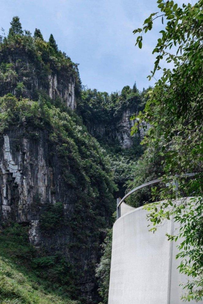 雨后盛放