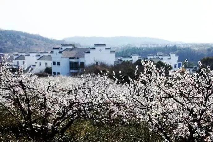 我该怎么停下来