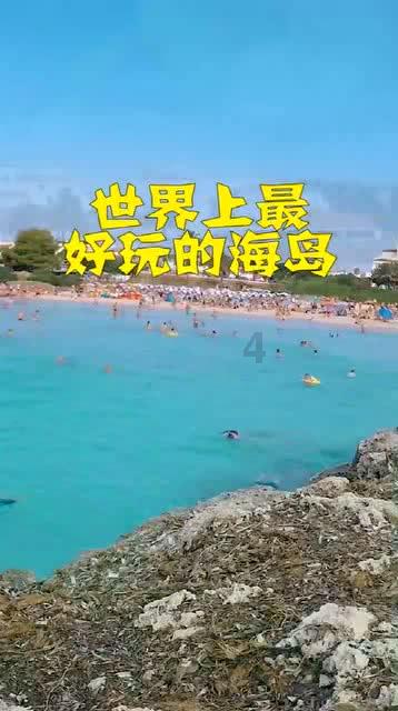 阴暗森林