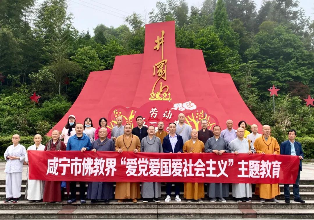 小鸡要回家